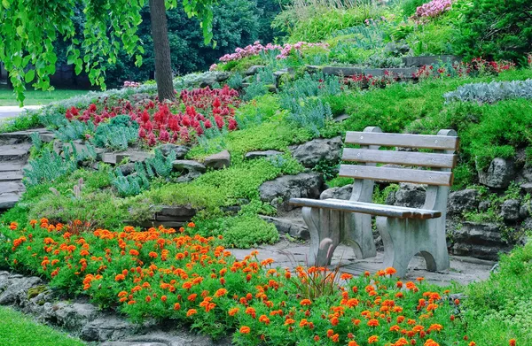 Camas de flores, plantas decorativas em um parque de verão Imagens Royalty-Free