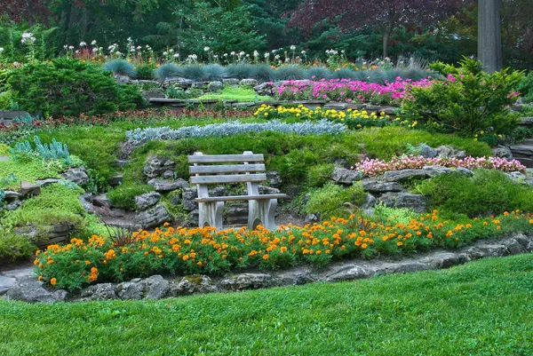 Houten bench in zomertuin met bloeiende bloemen Stockfoto