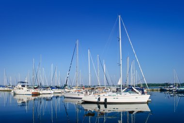 Luxury white yachts and boats moored in a port clipart