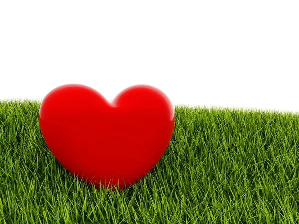 Červené srdce na zelené trávě — Stock fotografie