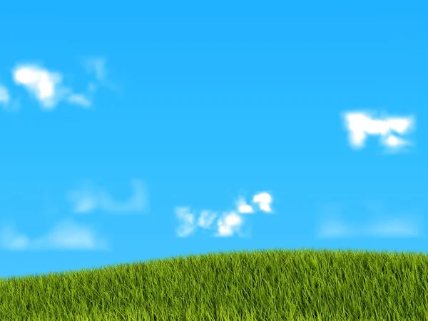 stock image Green grass on blue sky background