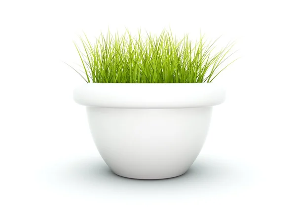 Grass in de bloempot — Stockfoto