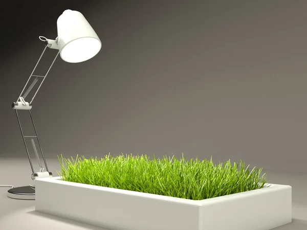 Grass with lamp — Stock Photo, Image