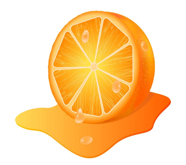 Saftige orange — Stockvektor