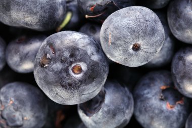 yaban mersini meyve kusurları cilt üzerinde gösterilen closeup