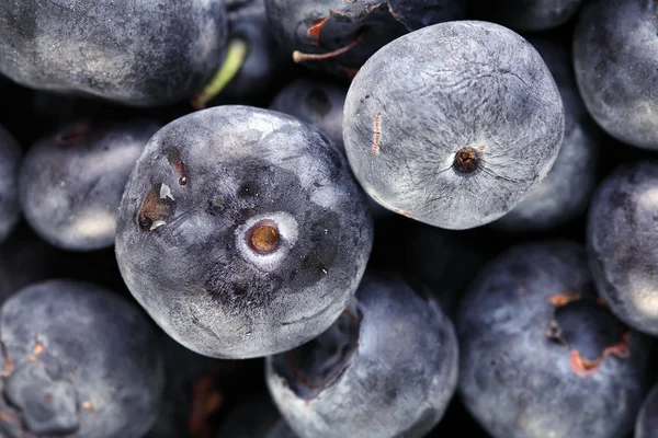 stock image Closeup of blueberries fruit showing imperfections on skin