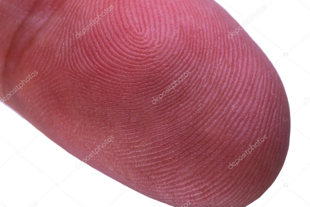 Closeup of human finger showing whorls in skin