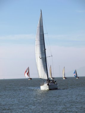 Several Sailboats on the bay under sail clipart