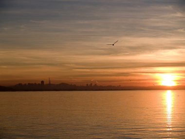 gün batımı san francisco Körfezi ve martılar