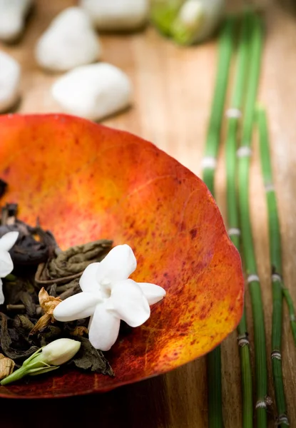 Suszone ornament herbata jaśminowa — Zdjęcie stockowe