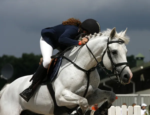 Horse jumping show — Stock Photo, Image