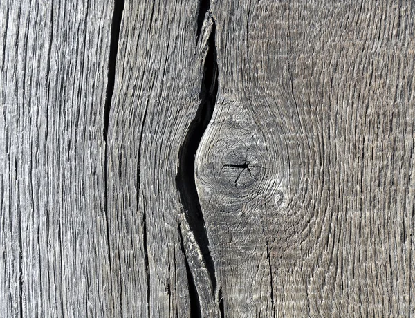 Stock image Weathered wood