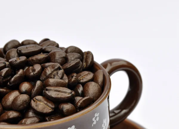 コーヒー豆をカップに入れる — ストック写真