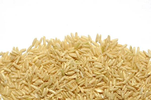 长粒香大米 — 图库照片