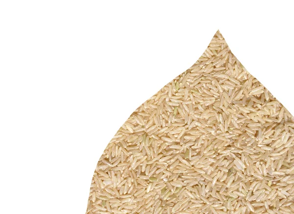 Uzun taneli pirinç — Stok fotoğraf