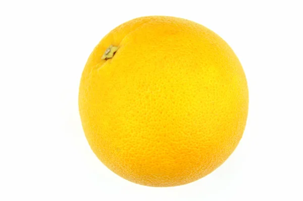 Oranje op wit — Stockfoto