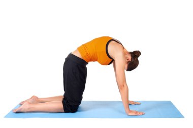 Woman Practicing Yoga clipart