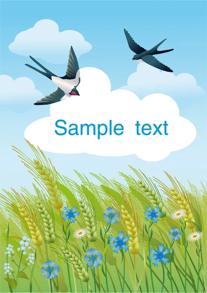 Summer field with swallows — Stock Vector
