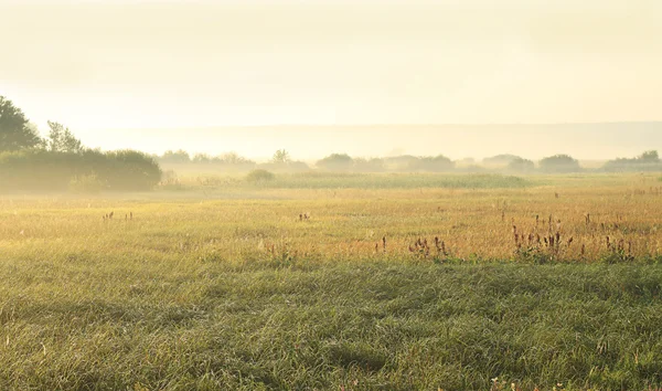 stock image Morning fog