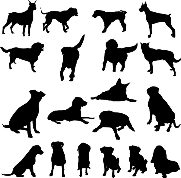 stock vector Dogs