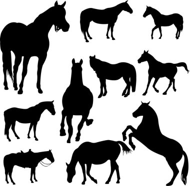 Horses clipart