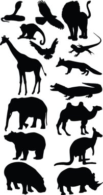 Wild animal clipart