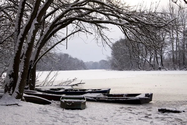 Krajobraz jeziora zimowego — Zdjęcie stockowe