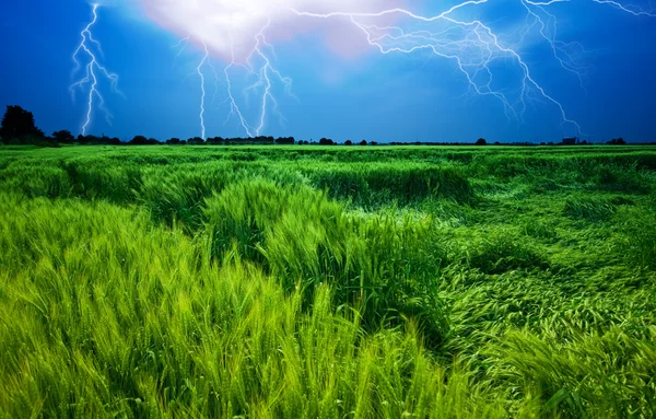 Storm over wheat field — Stock Photo, Image