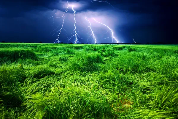 Bouře nad pšeničné pole — Stock fotografie