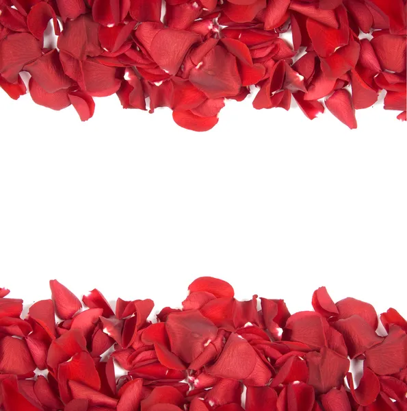 Fallende Rosenblätter — Stockfoto