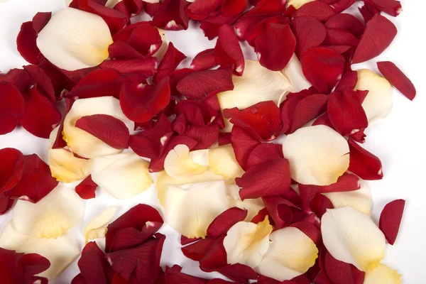 Falling rose petals — Zdjęcie stockowe