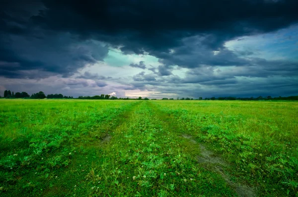 Zielone pole w lecie — Zdjęcie stockowe