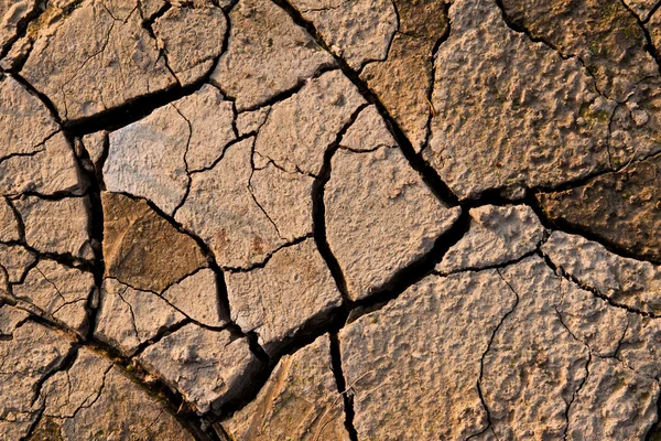 Stock image Landscape with cracked land