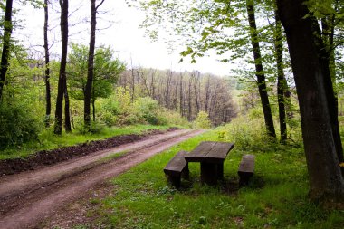 Resting place in the wood clipart