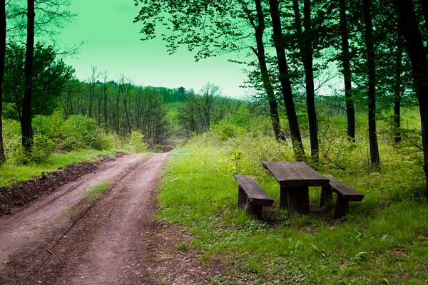 Lugar de descanso en el bosque — Foto de Stock