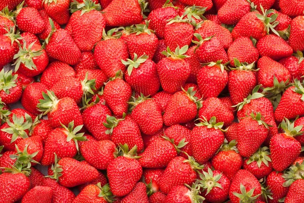 新鲜草莓 — 图库照片#