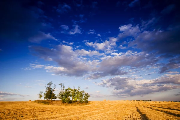 干し草の山でいっぱいの農家の畑 — ストック写真