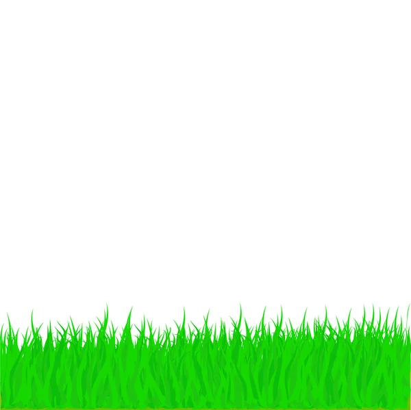Vector Grass — Stock Vector