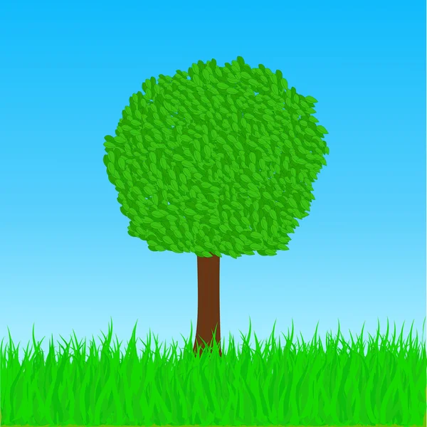 Illustration des arbres — Image vectorielle