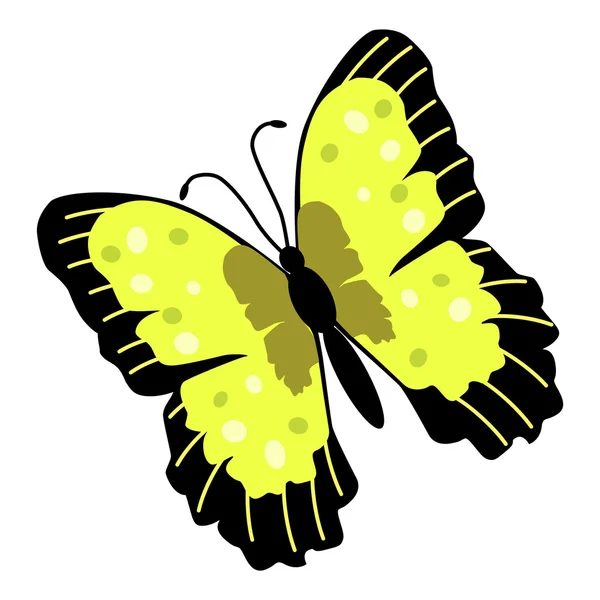 Illustrazione della farfalla — Vettoriale Stock