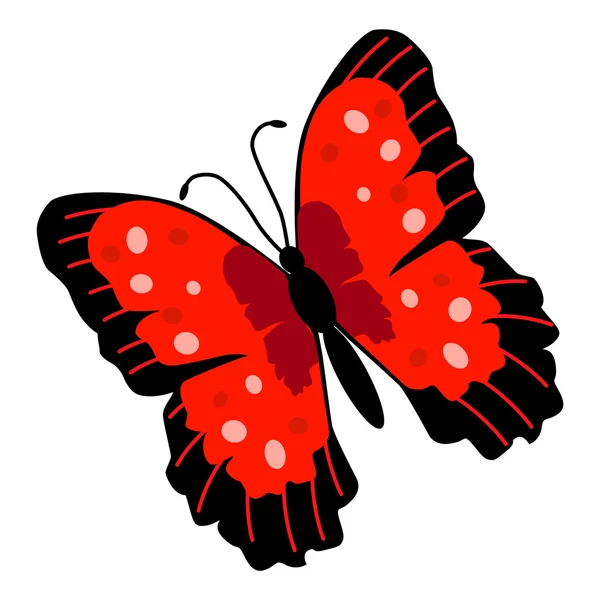 Butterfly Illustration — Stock Vector