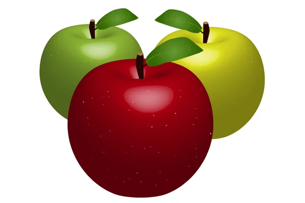 Apples Illustration — Stock Vector