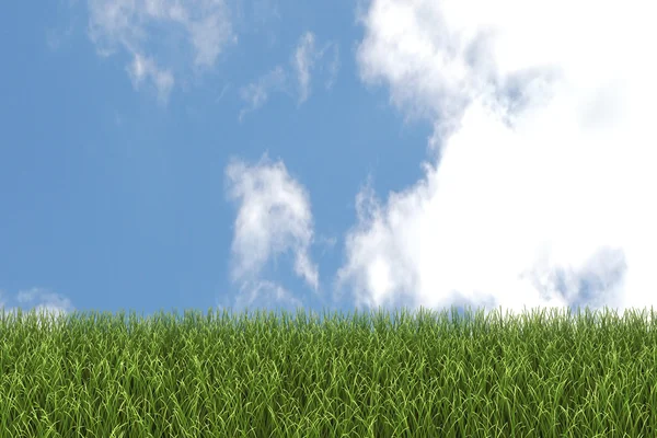 草和天 — 图库照片