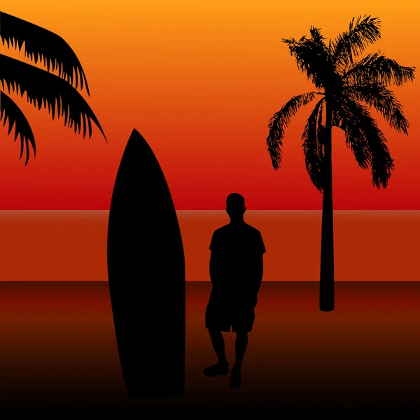 サーフィンの日没 — ストックベクタ