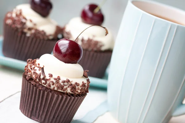 Black forest cupcakes — Stock Photo, Image