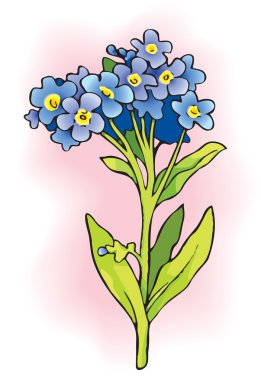 Forget-me-nots clipart