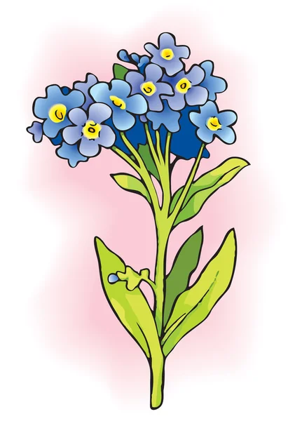 Forget-me-nots — Wektor stockowy