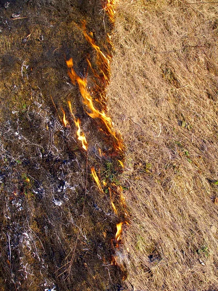 Feuer trennt Feld — Stockfoto