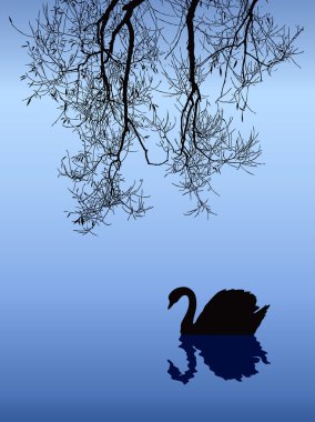 Swan in Fog clipart