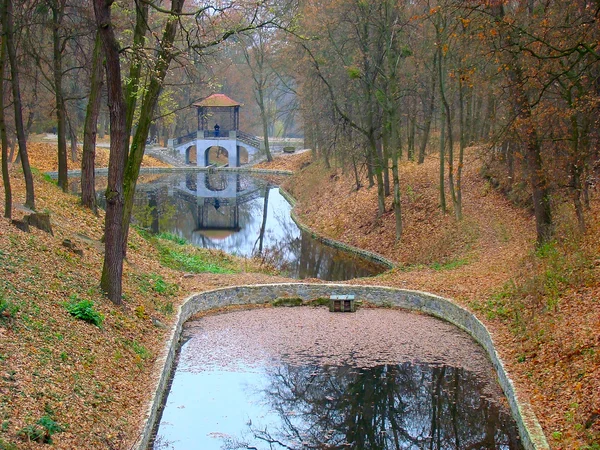 Осень в парке Александра — стоковое фото